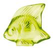 Fish Anise - Lalique Gift